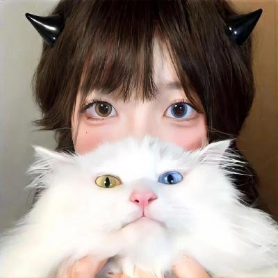新十二生肖